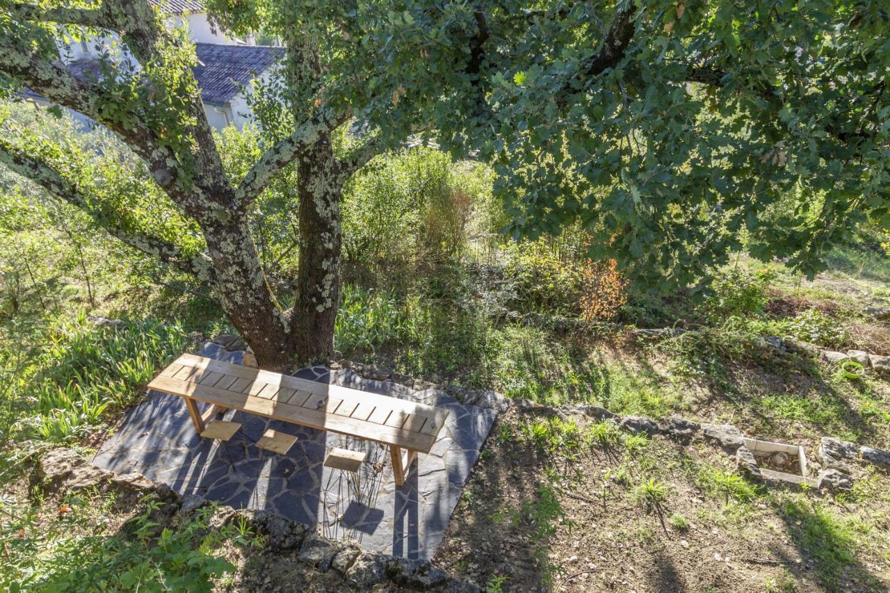 La Maison Des Chataigniers Meyrannes Exteriör bild